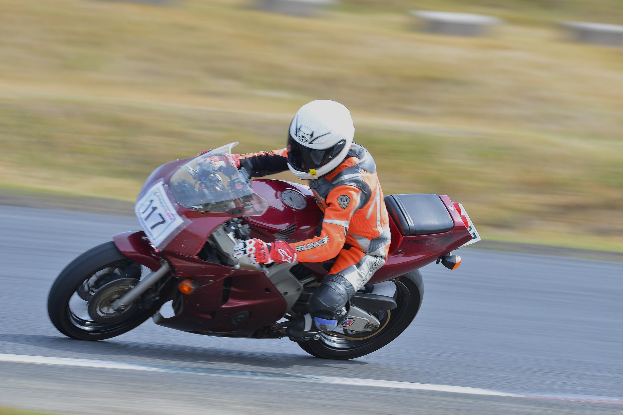 D8J_0512.JPG