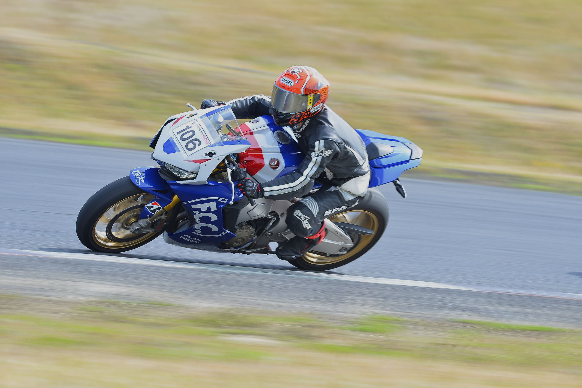 D8J_0522.JPG