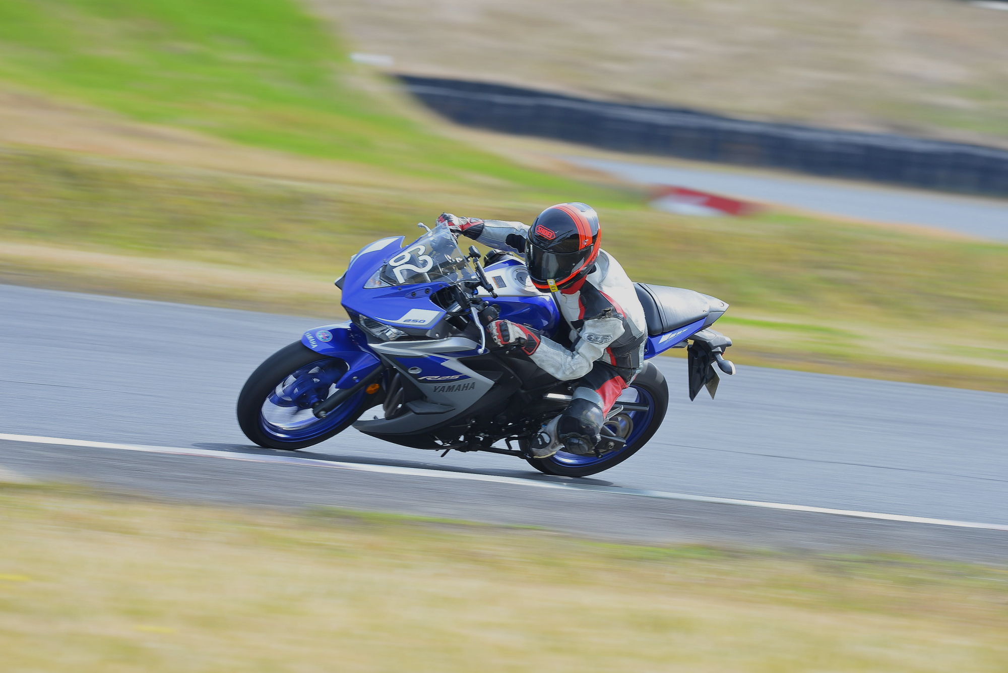 D8J_0523.JPG