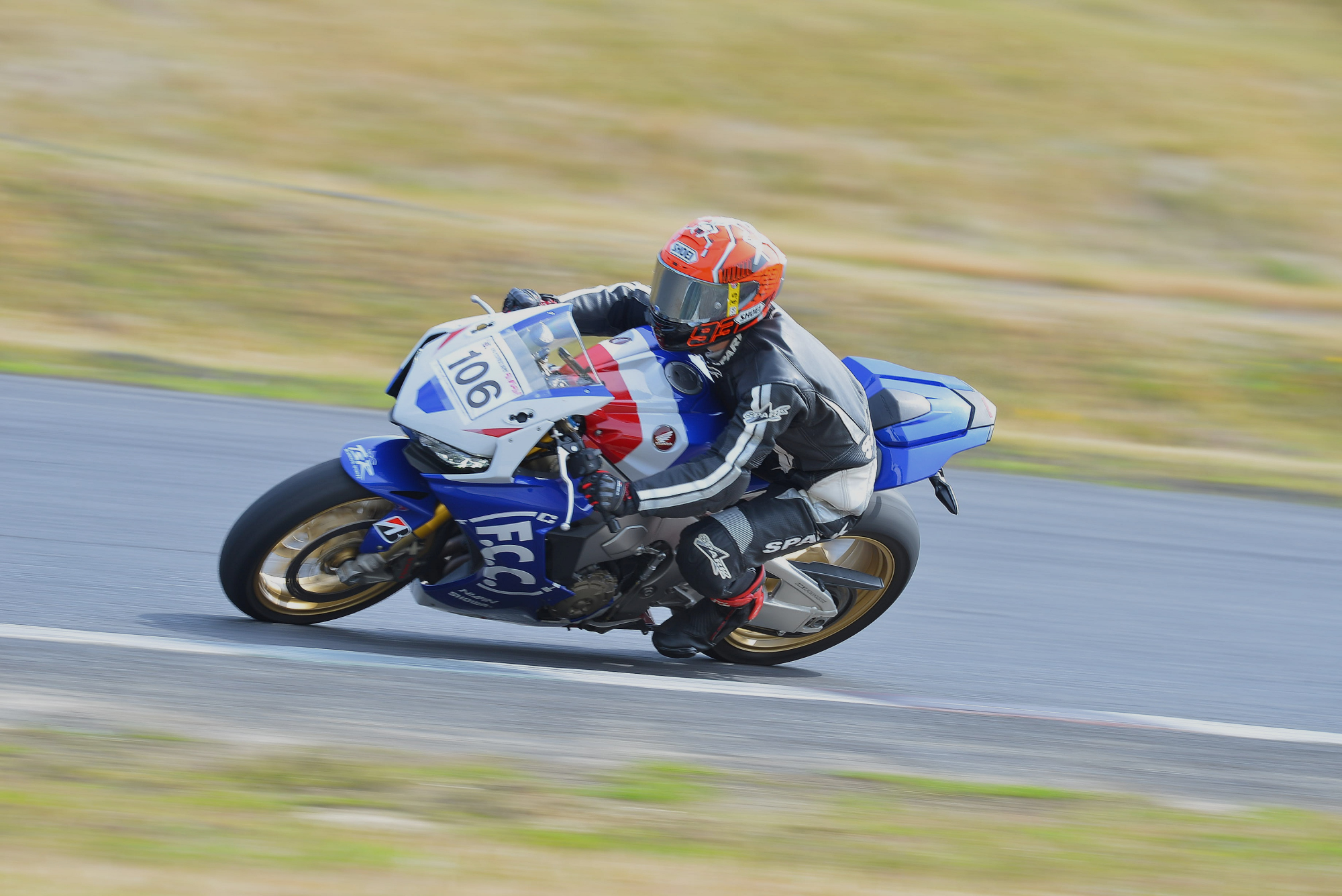 D8J_0541.JPG