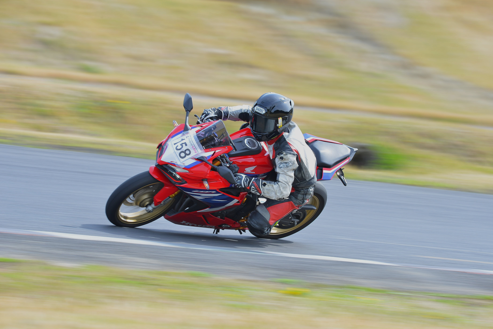 D8J_0542.JPG