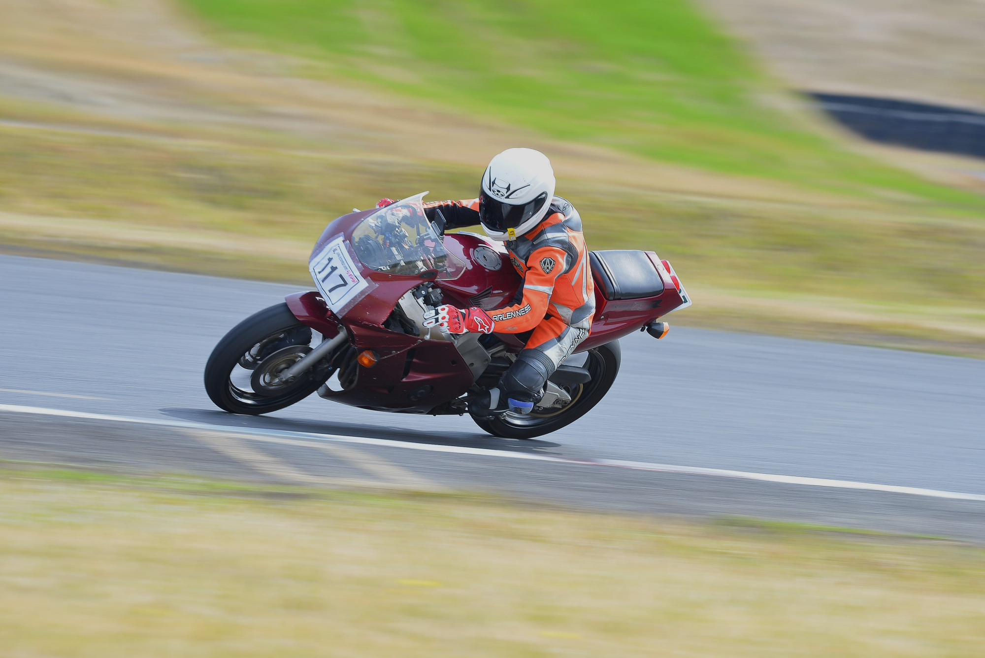 D8J_0544.JPG