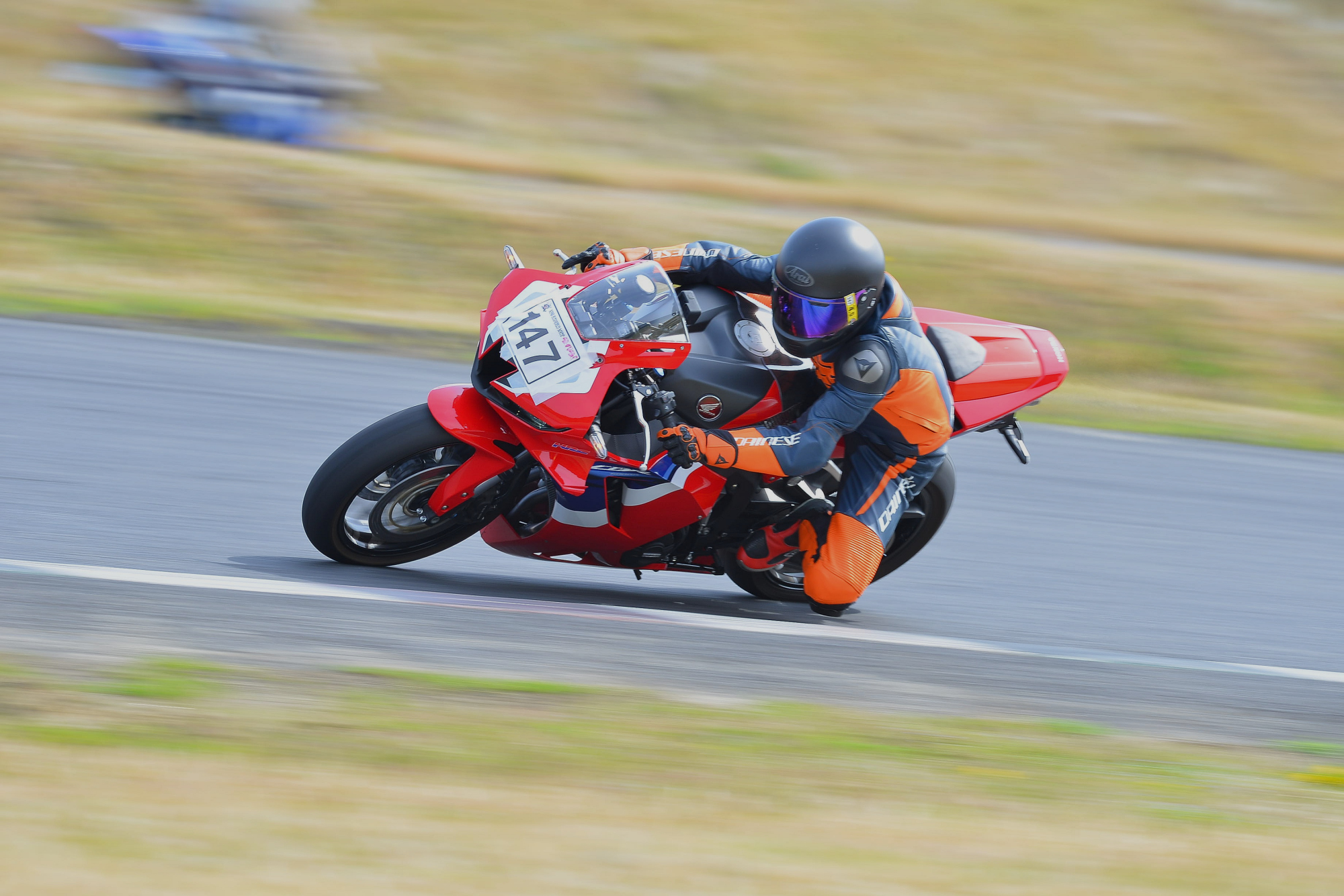 D8J_0548.JPG