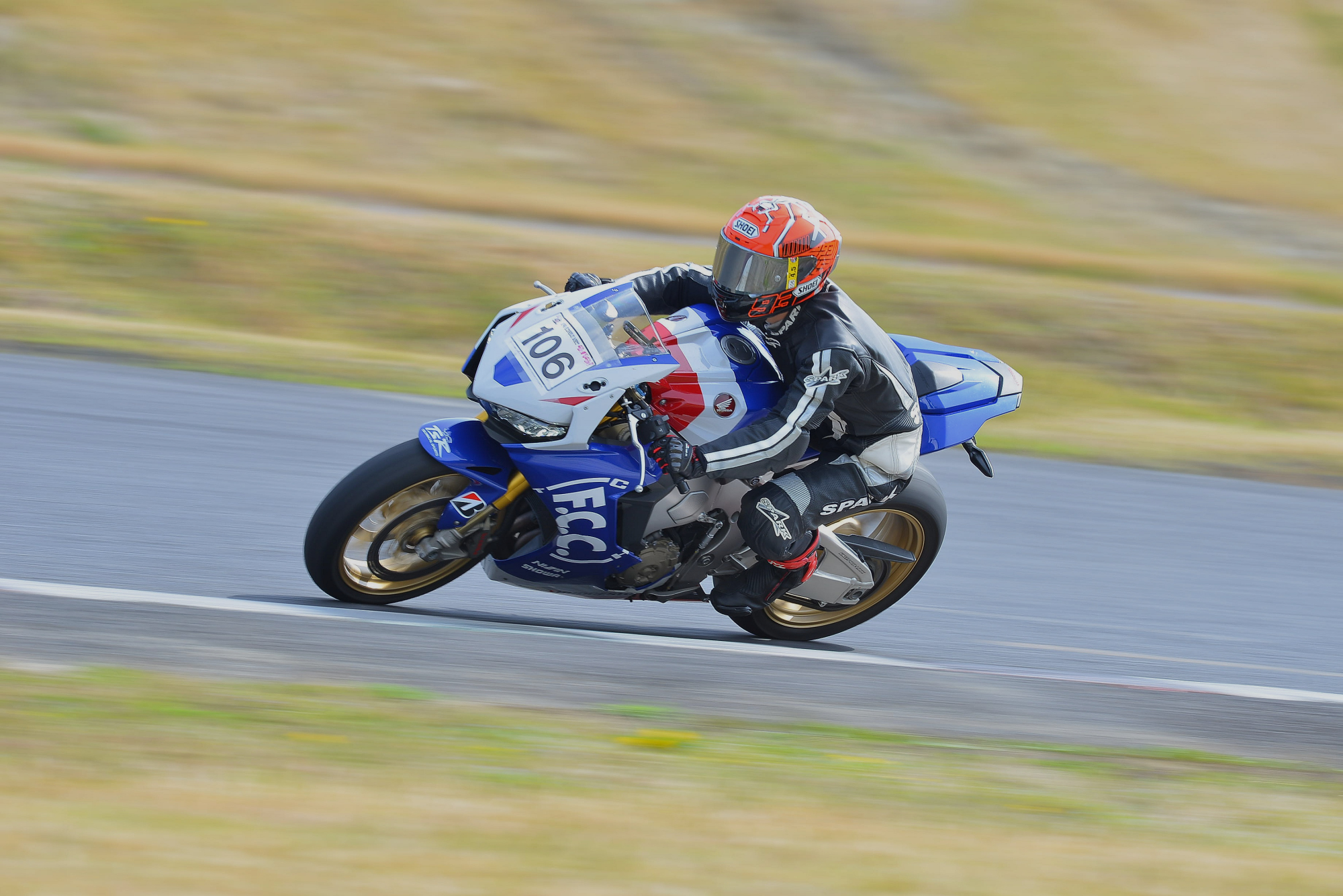 D8J_0560.JPG