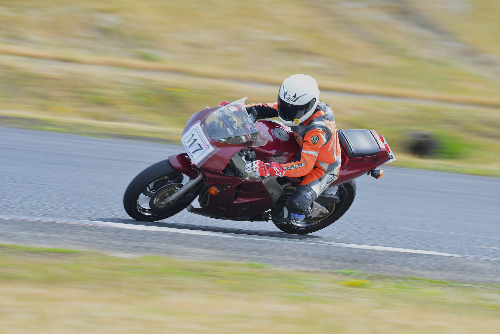 D8J_0564.JPG