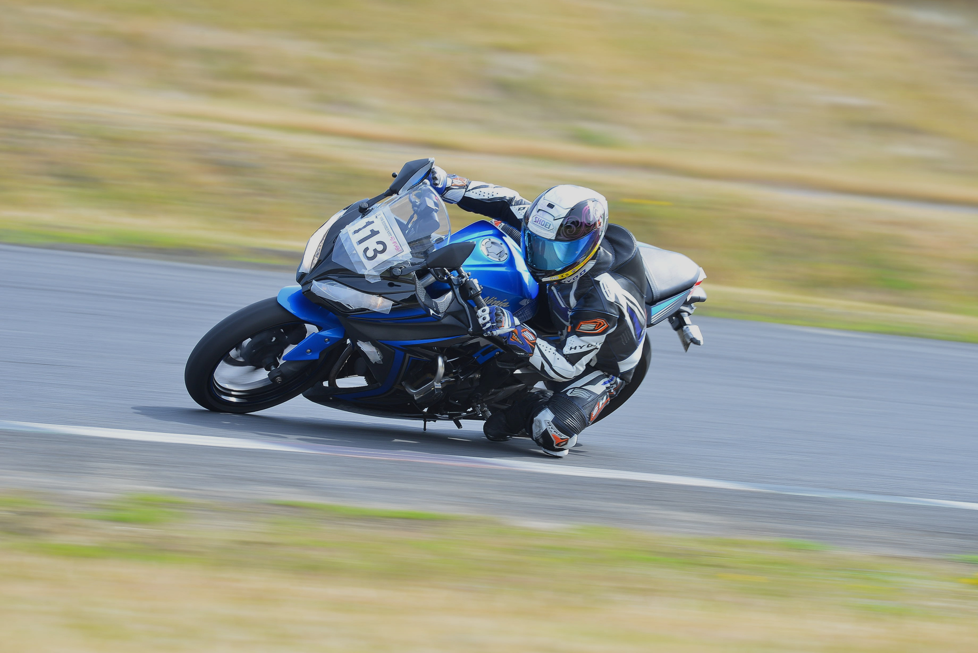 D8J_0570.JPG