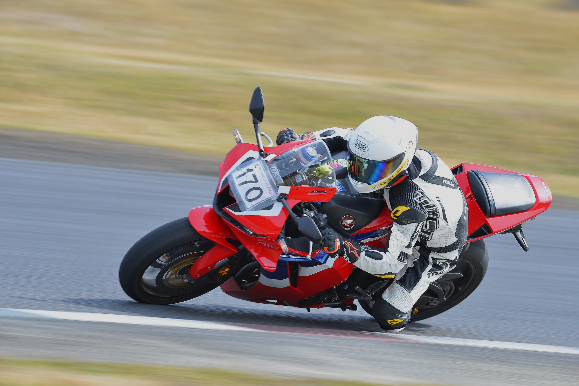 D8J_0587.JPG