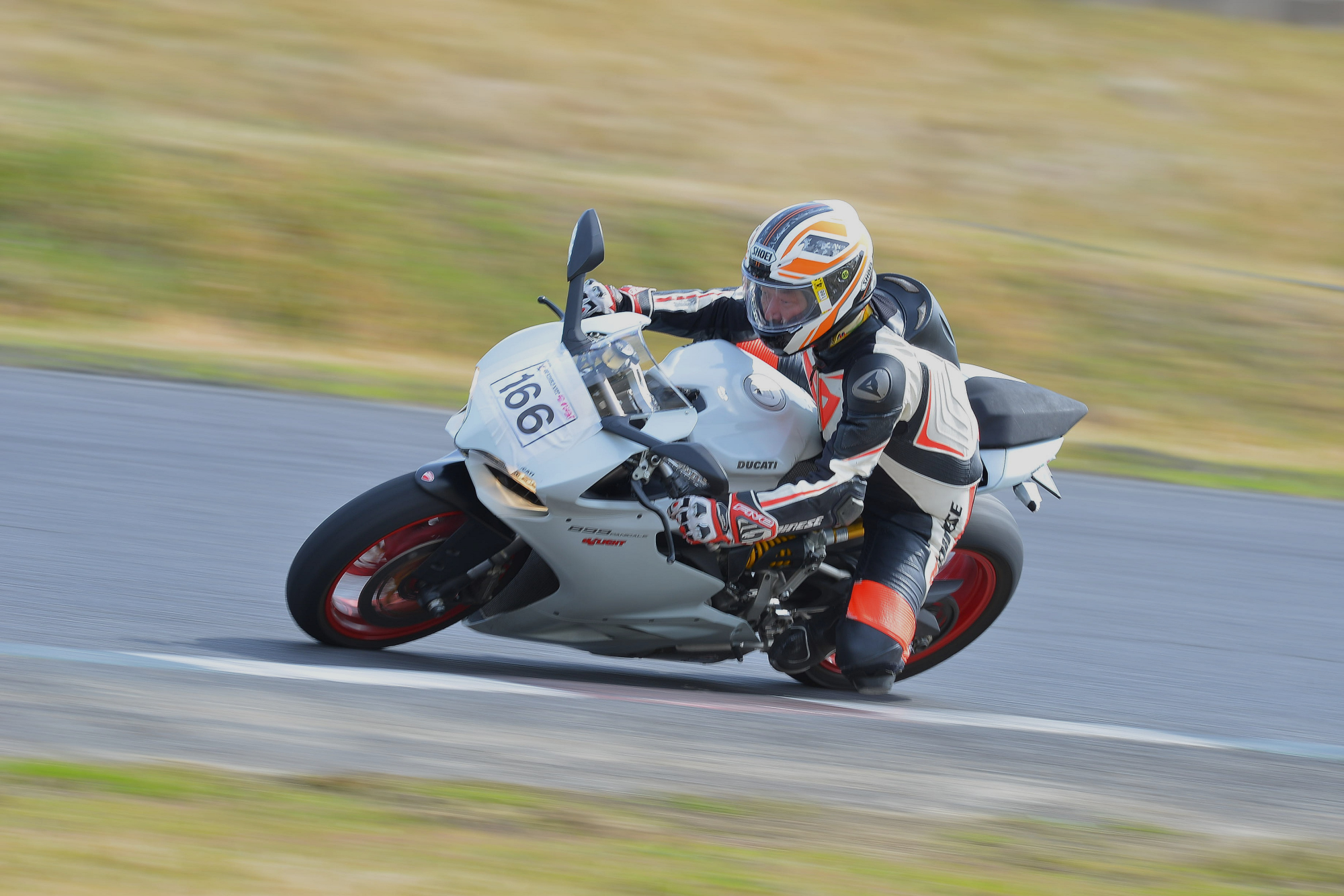 D8J_0588.JPG