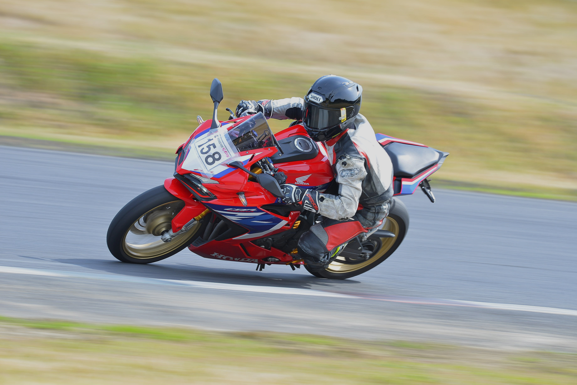D8J_0598.JPG