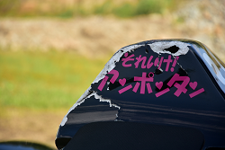 D72_8979_thumb.png