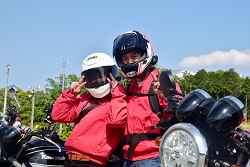 D72_9001_thumb.png