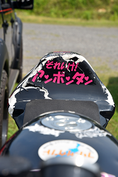 D72_0918_thumb.png