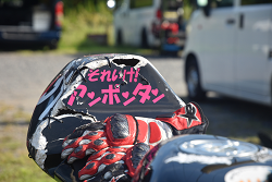 D72_3072_thumb.png