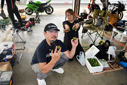 D72_3743_thumb.png