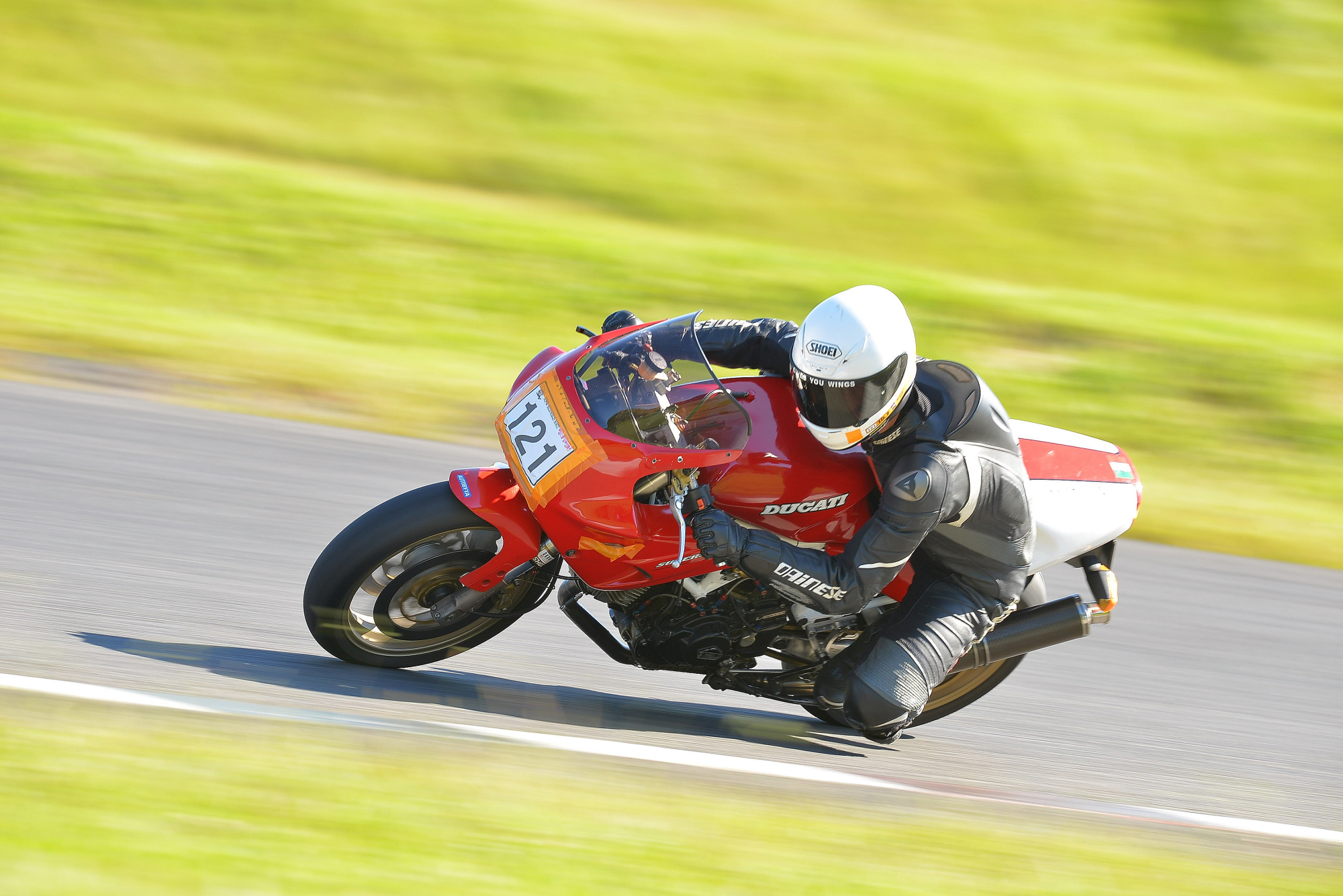 D8J_0153.JPG