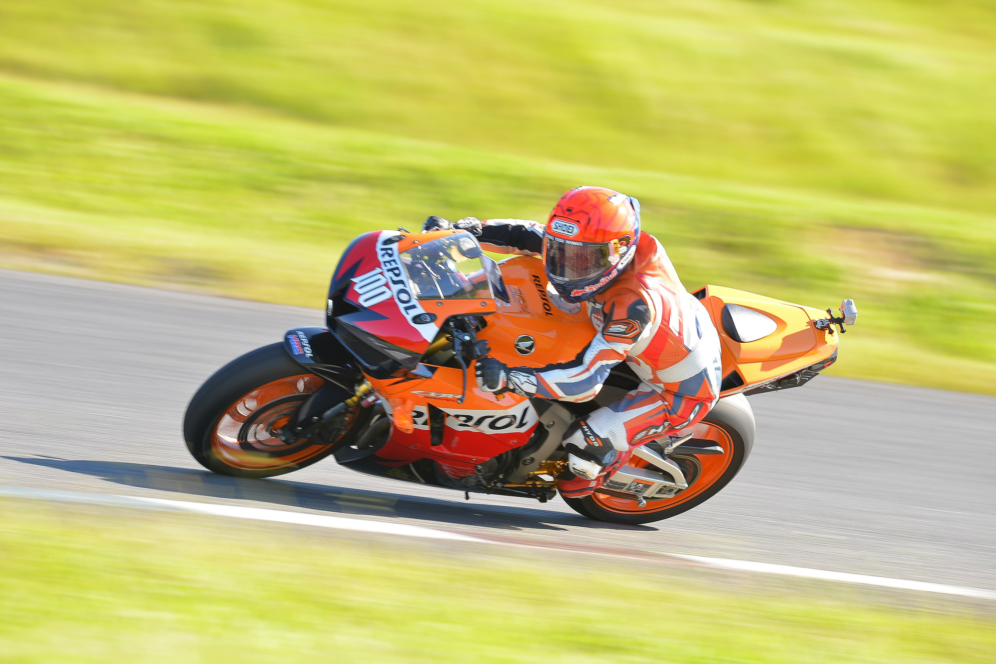 D8J_0179.JPG