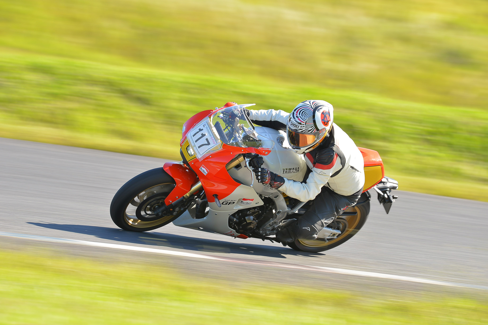 D8J_0195.JPG