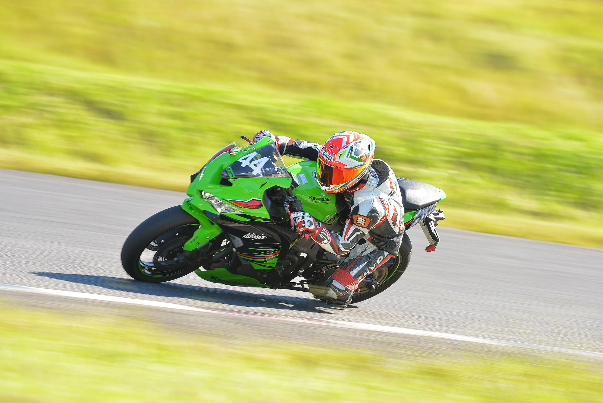 D8J_0203.JPG