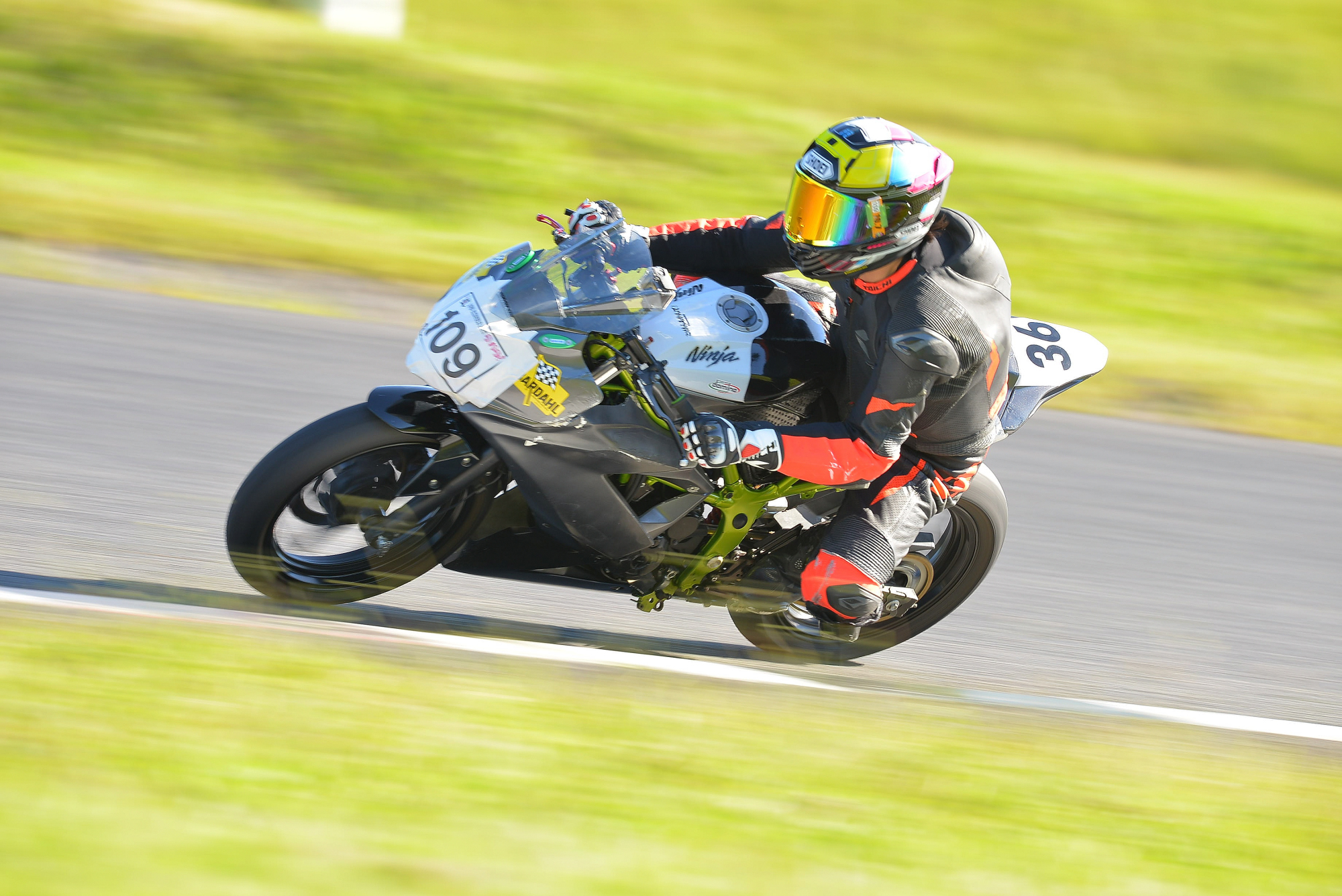 D8J_0280.JPG