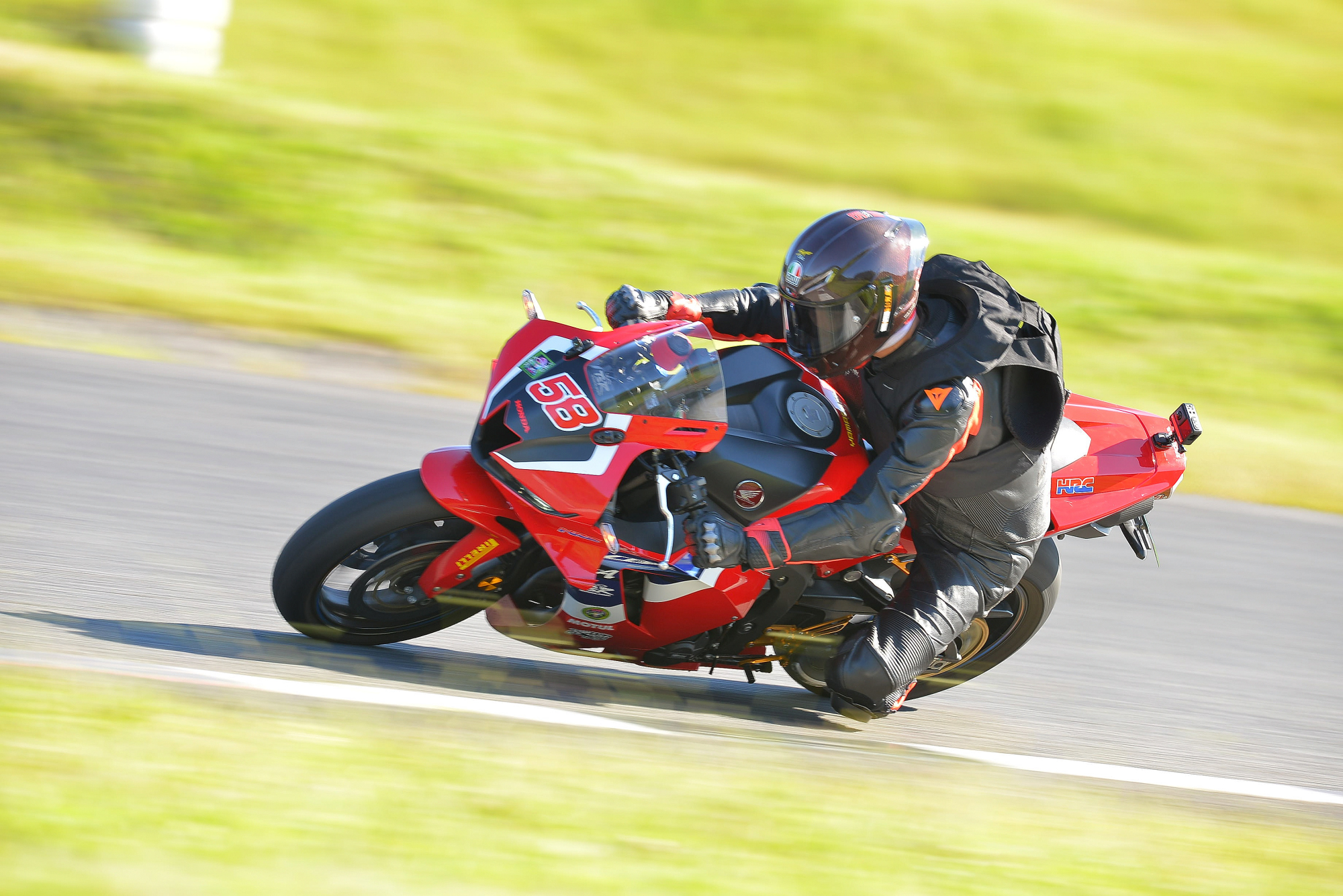 D8J_0294.JPG