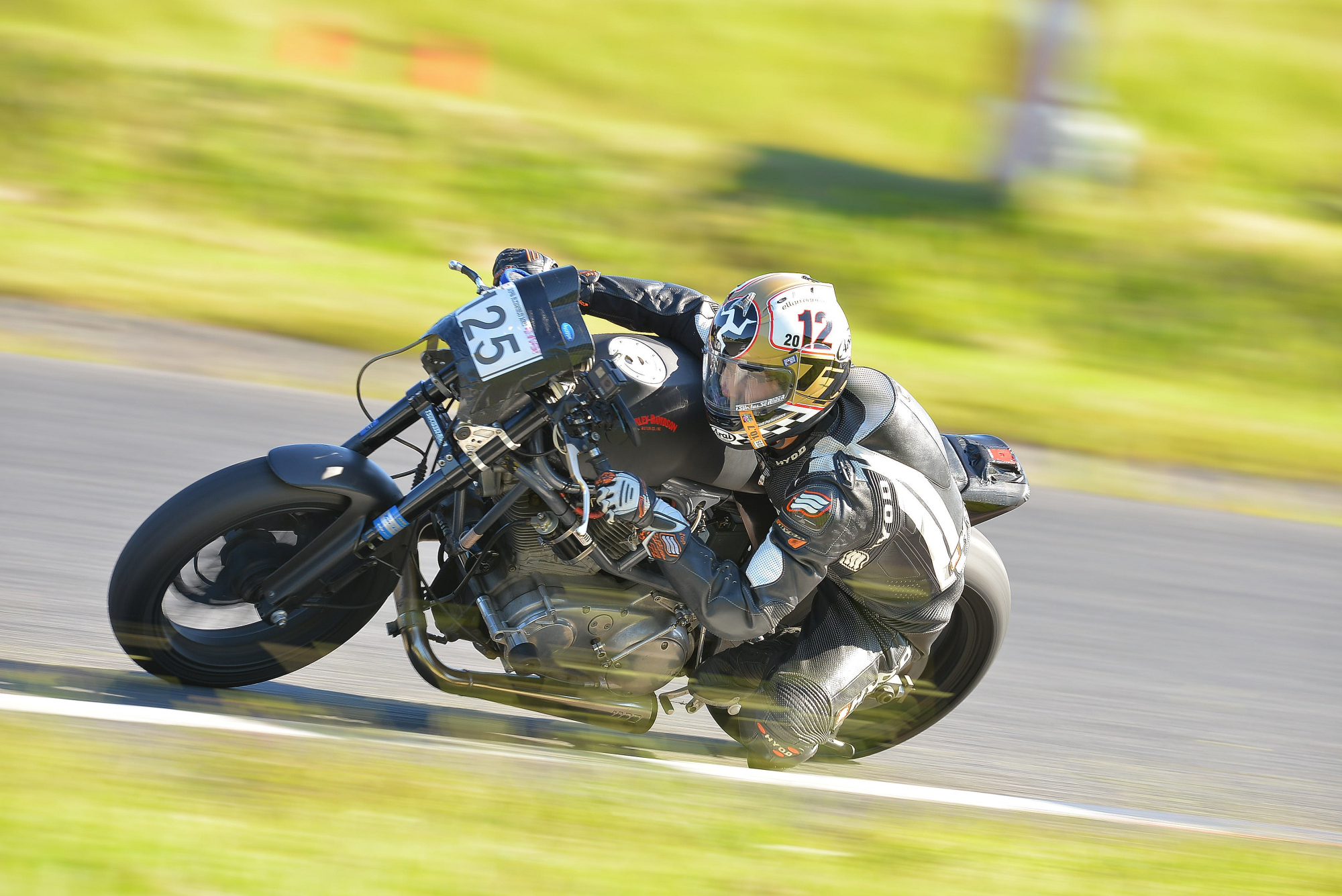D8J_0304.JPG