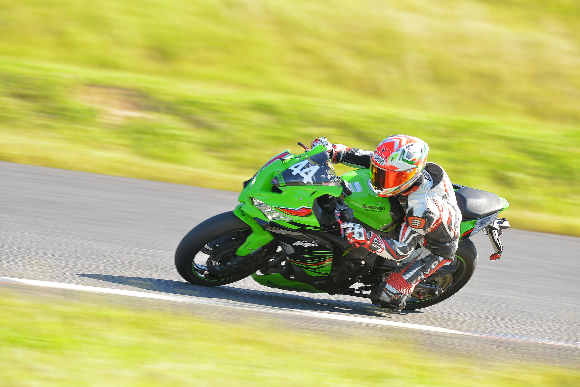 D8J_0306.JPG