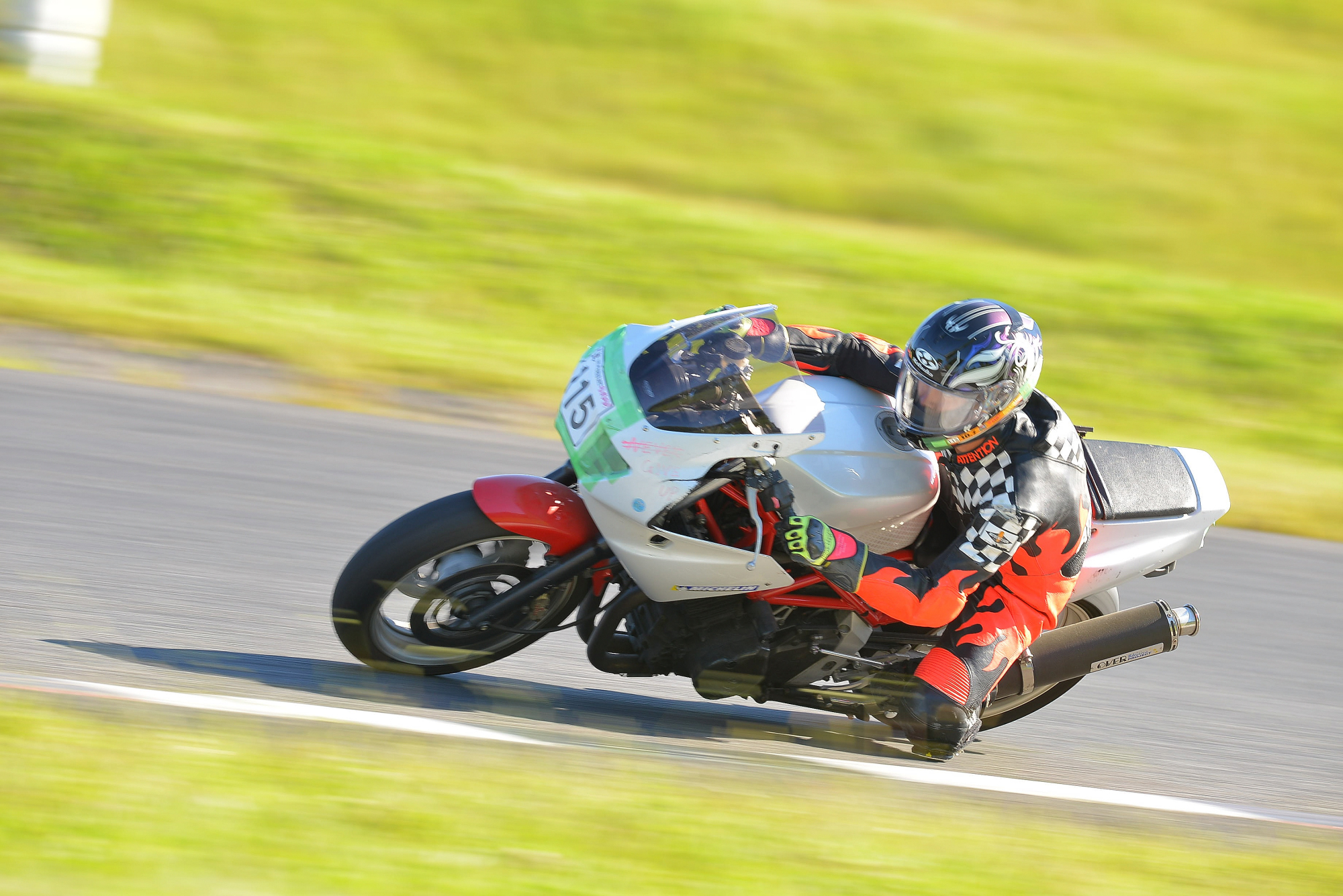 D8J_0335.JPG