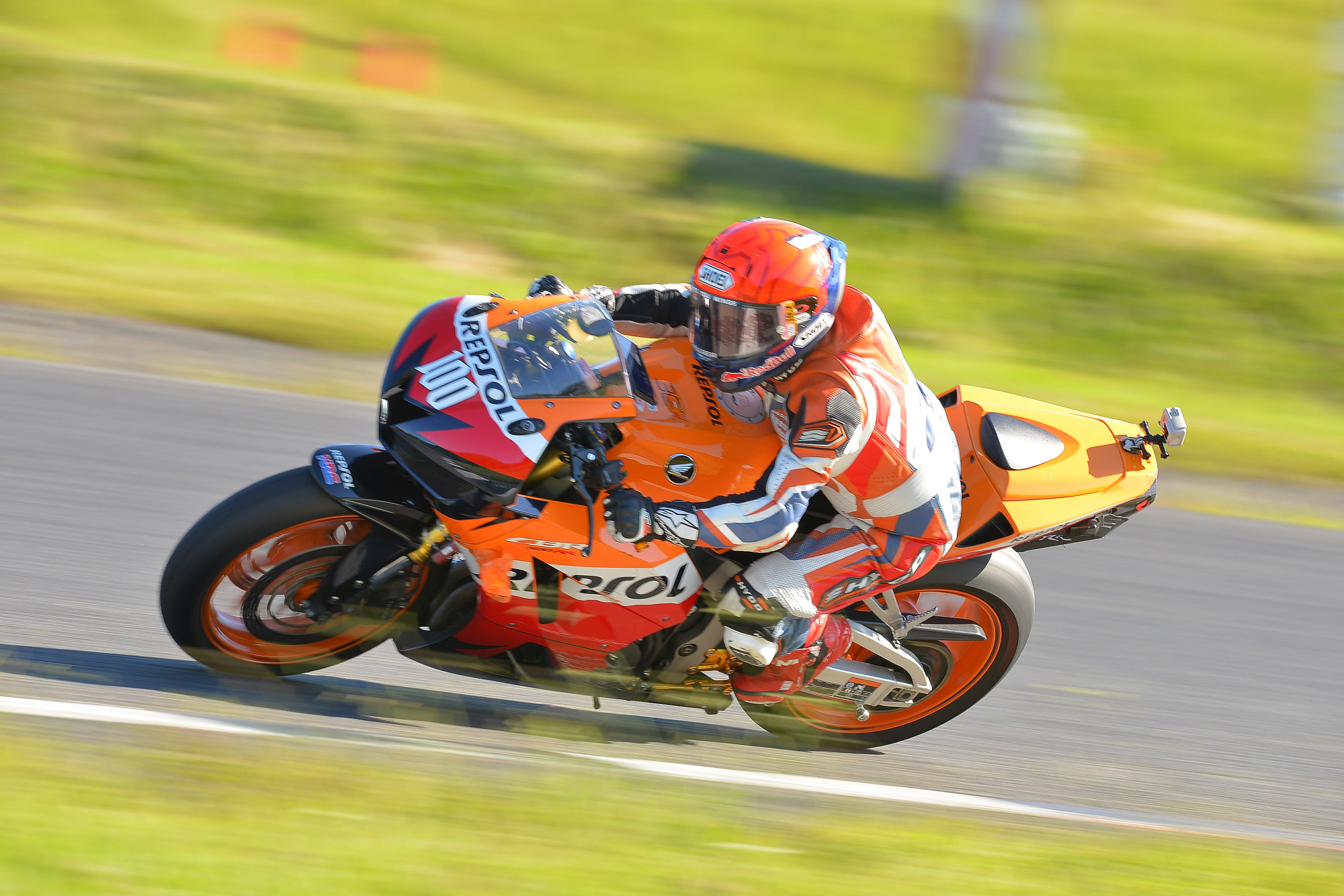 D8J_0380.JPG