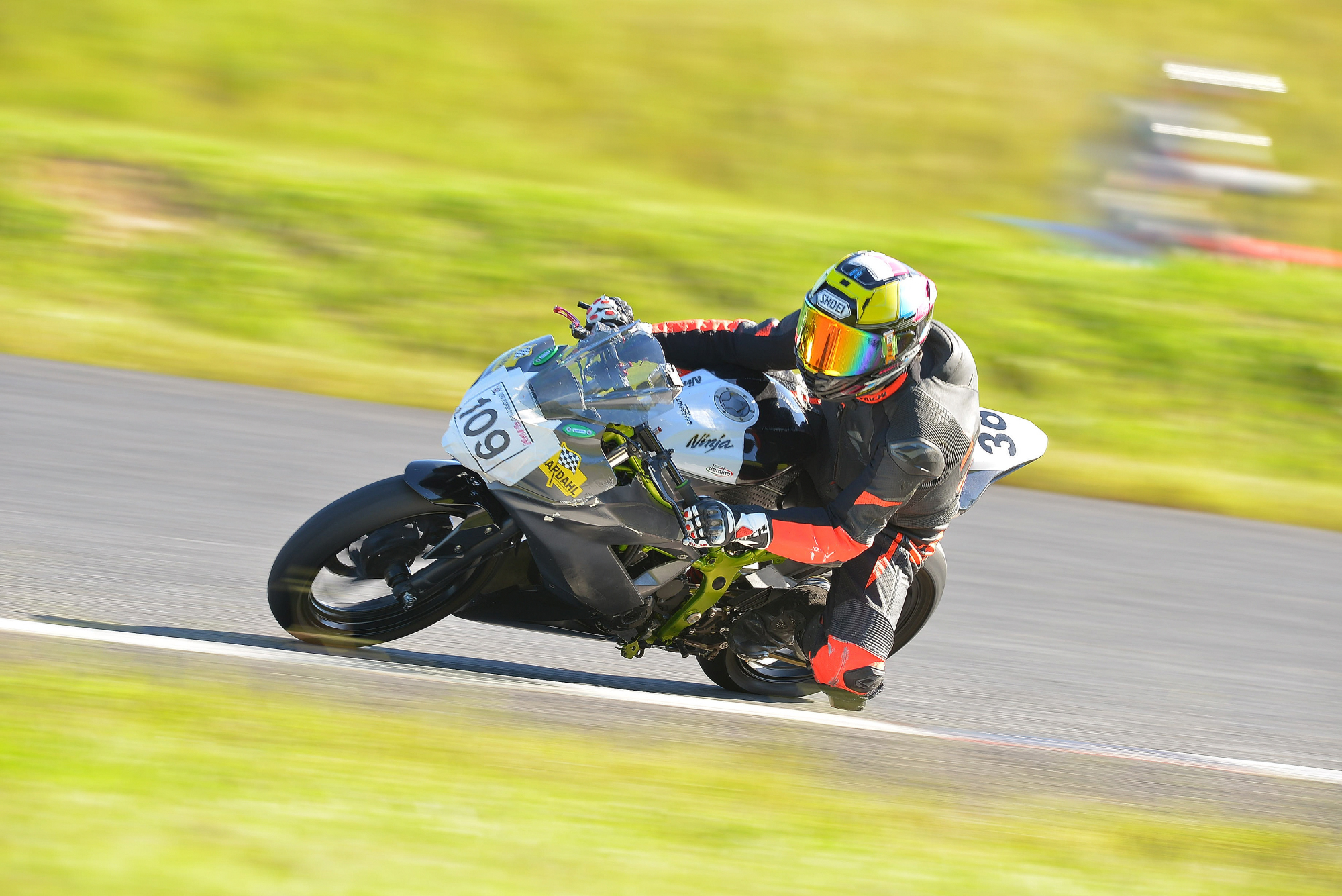 D8J_0388.JPG