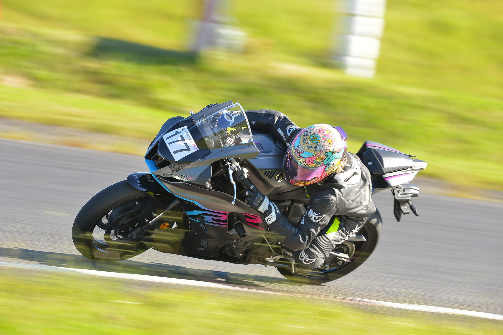 D8J_0397.JPG