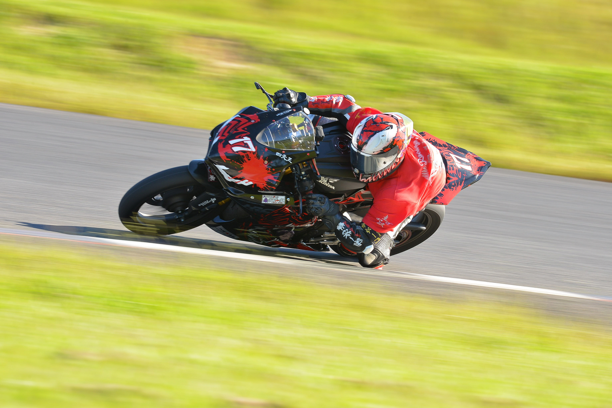 D8J_0441.JPG