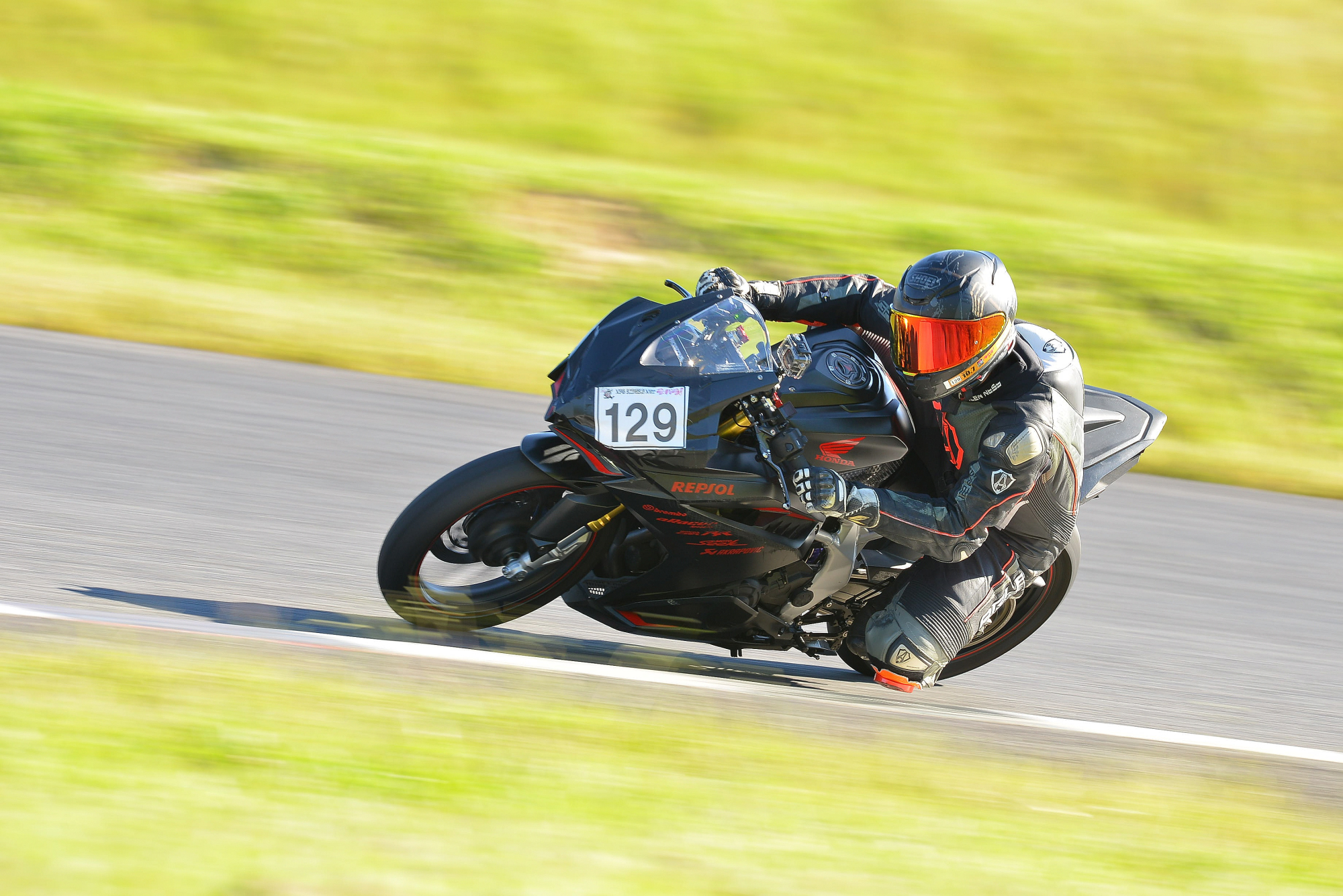 D8J_0447.JPG