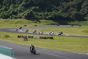 D72_1103_thumb.png