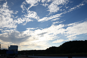 D72_1244_thumb.png