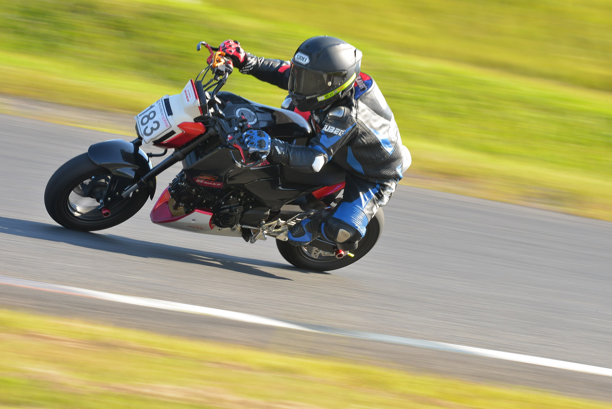 D8J_0738.JPG