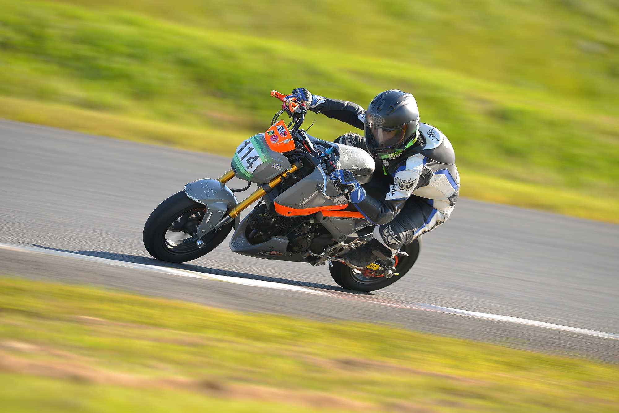 D8J_0873.JPG