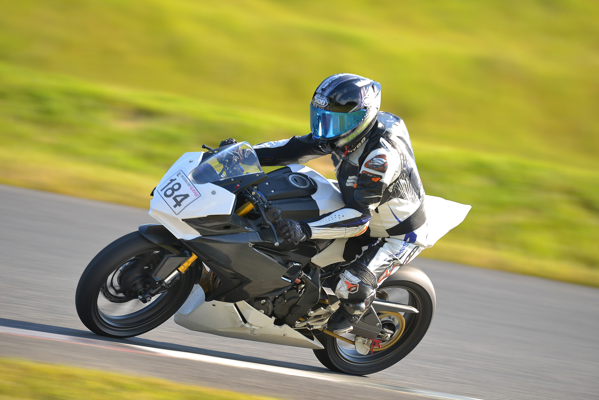 D8J_0888.JPG