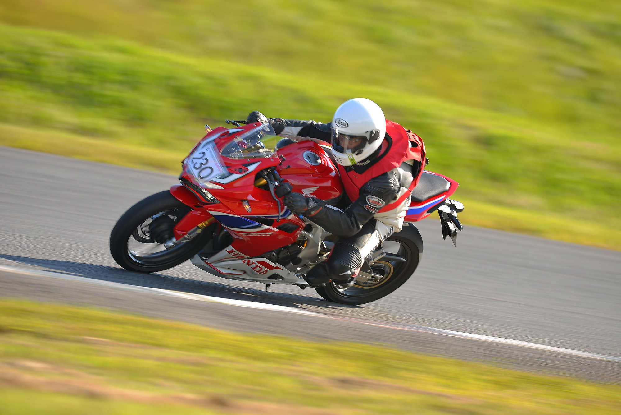 D8J_0973.JPG