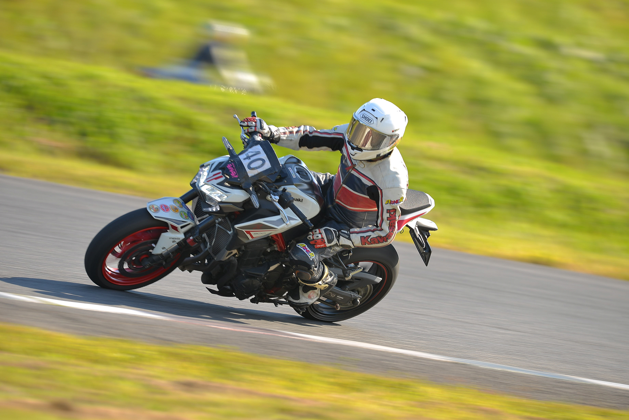 D8J_0976.JPG