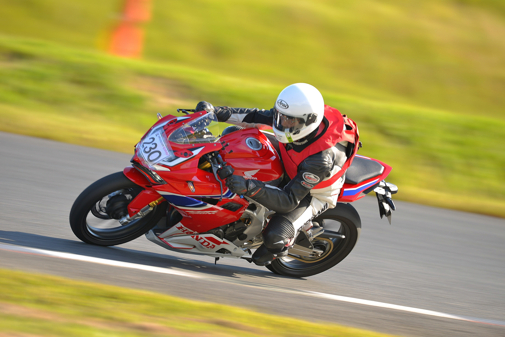 D8J_0995.JPG