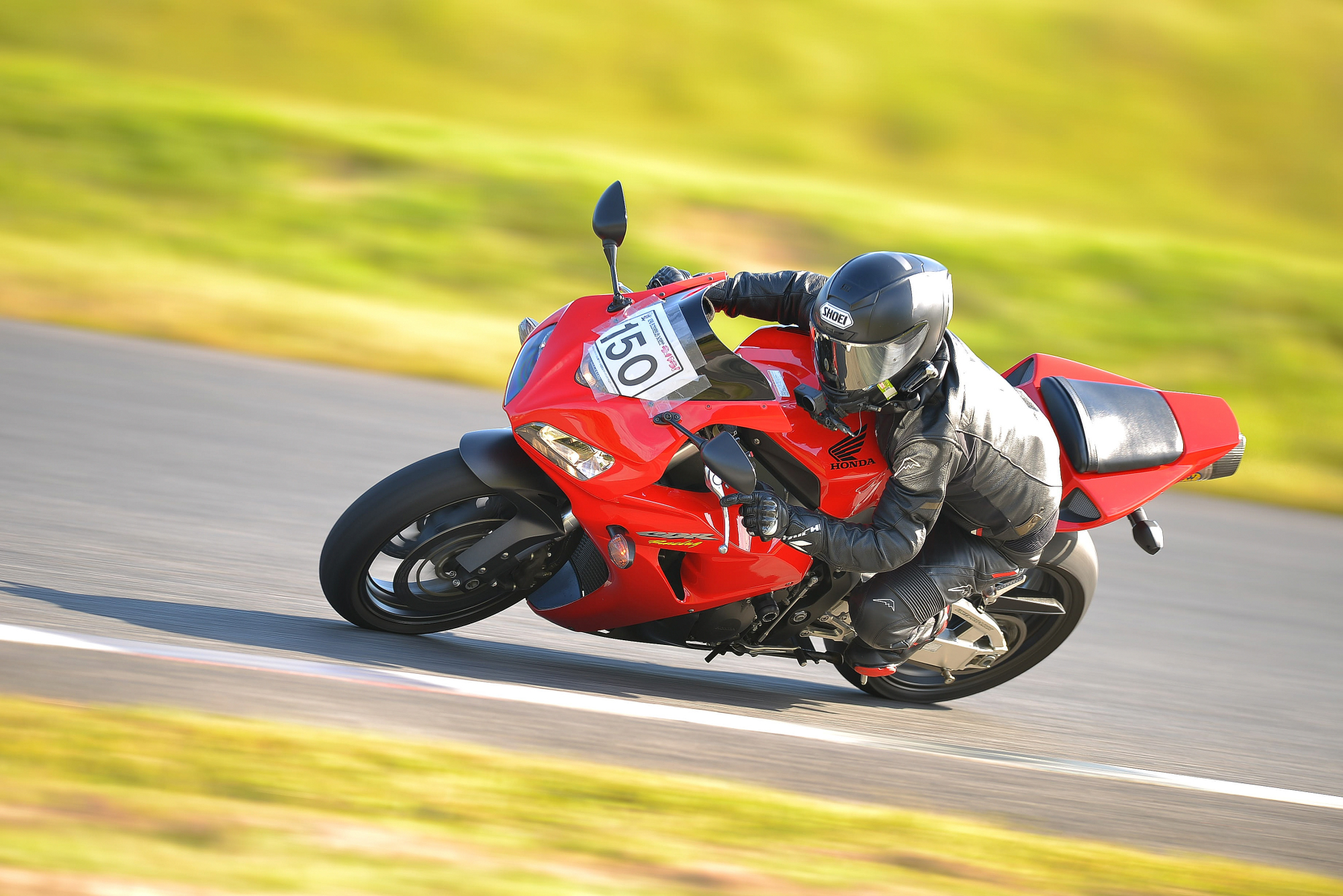 D8J_1010.JPG