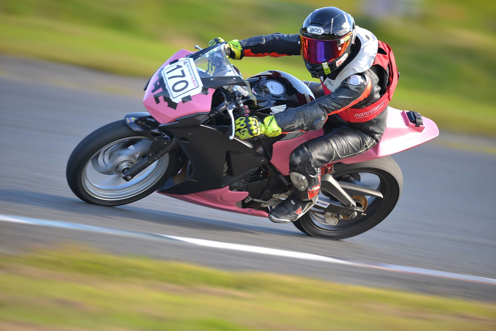 D8J_1066.JPG