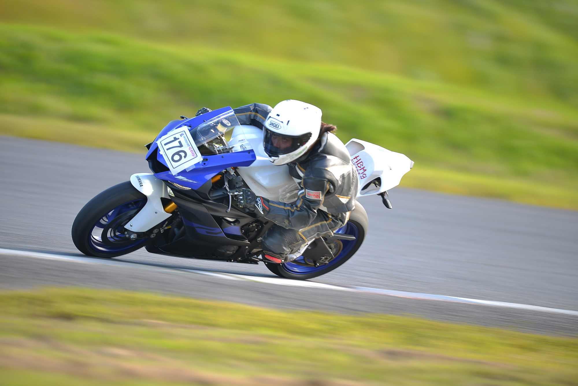 D8J_1126.JPG