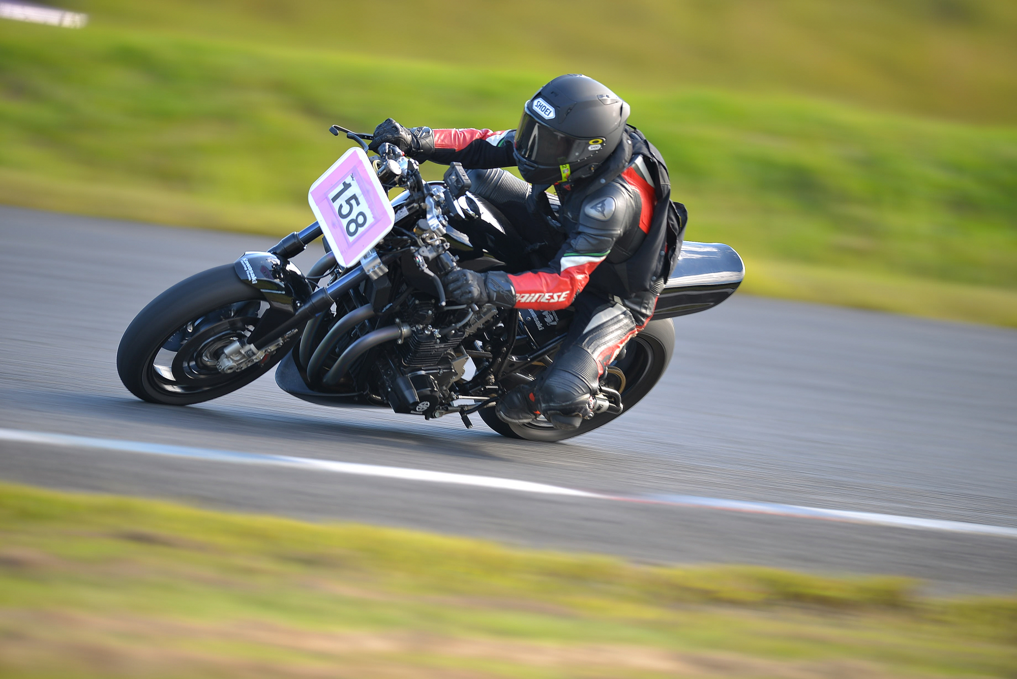 D8J_1133.JPG