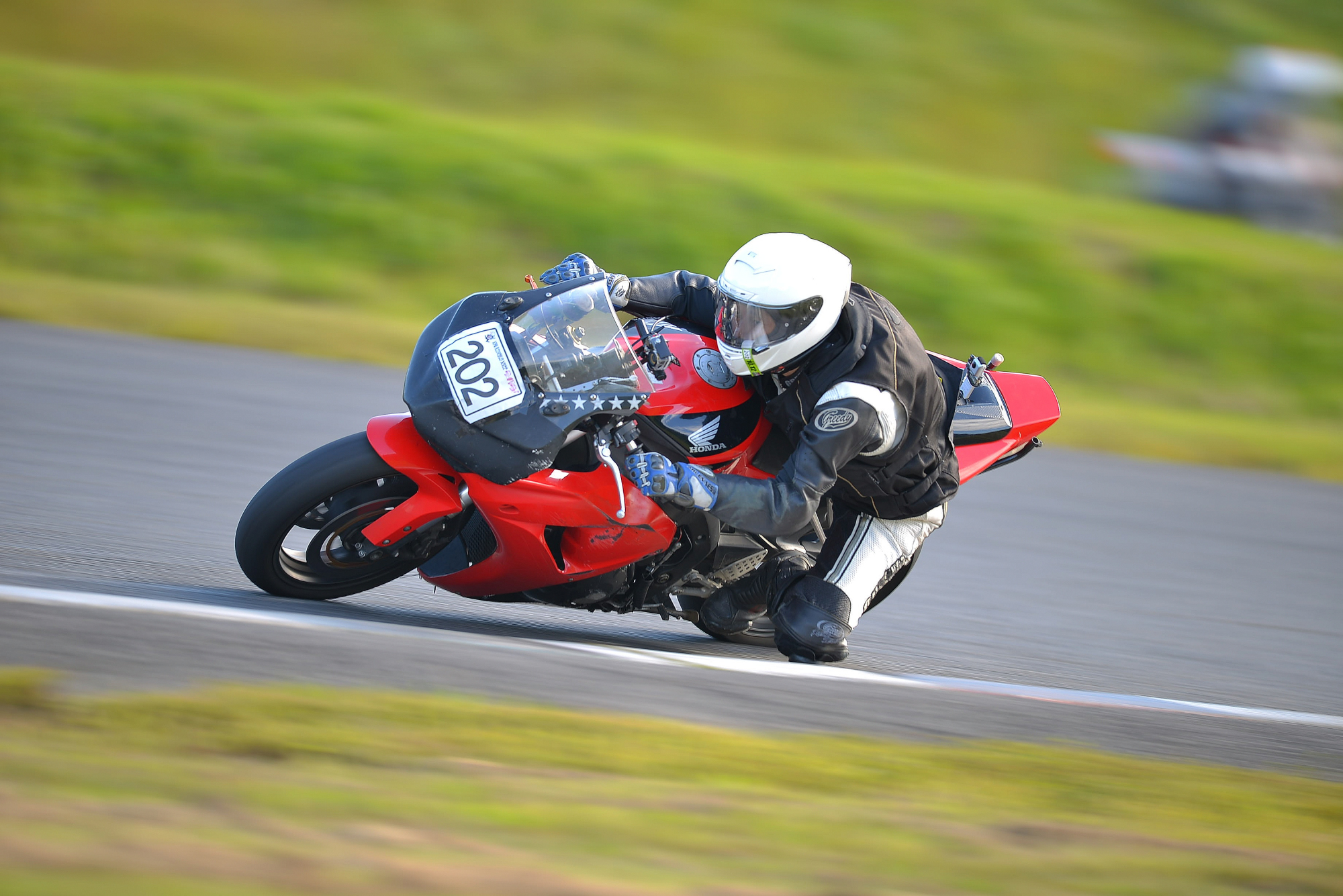 D8J_1135.JPG