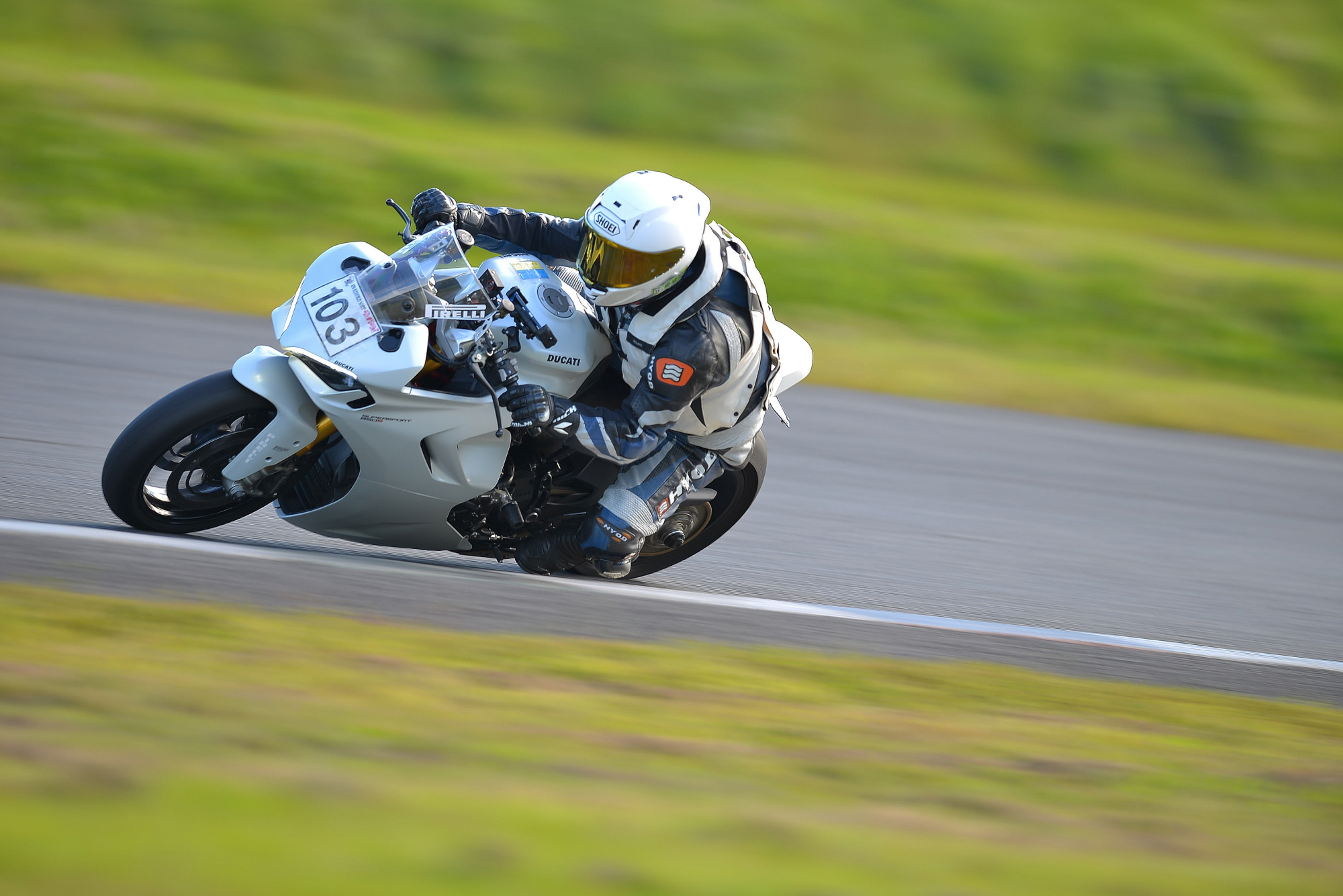 D8J_1137.JPG