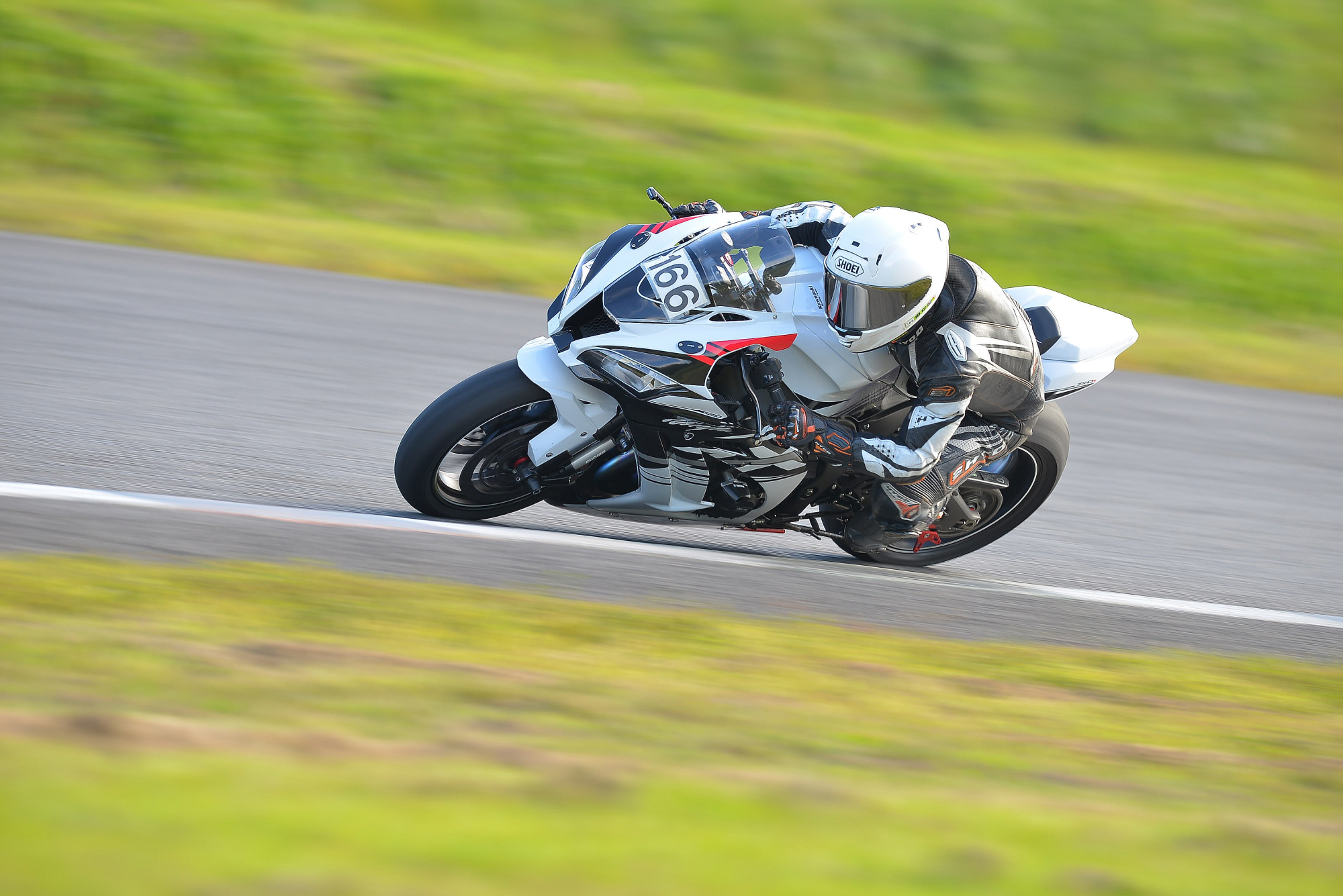 D8J_1183.JPG