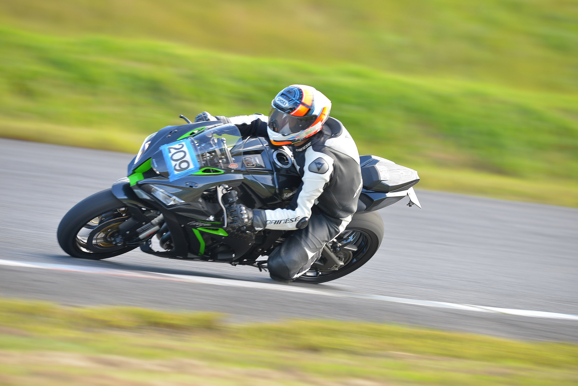 D8J_1241.JPG