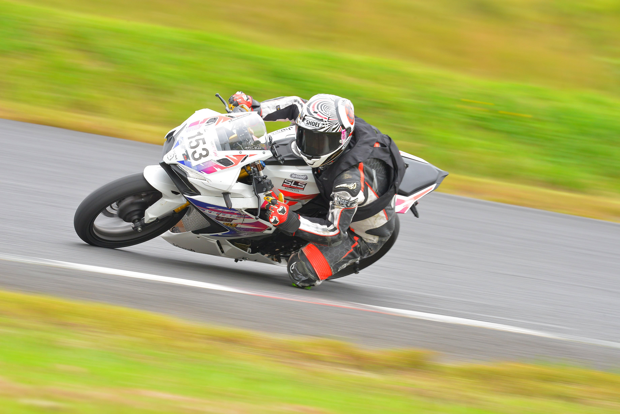 D8J_0095.JPG