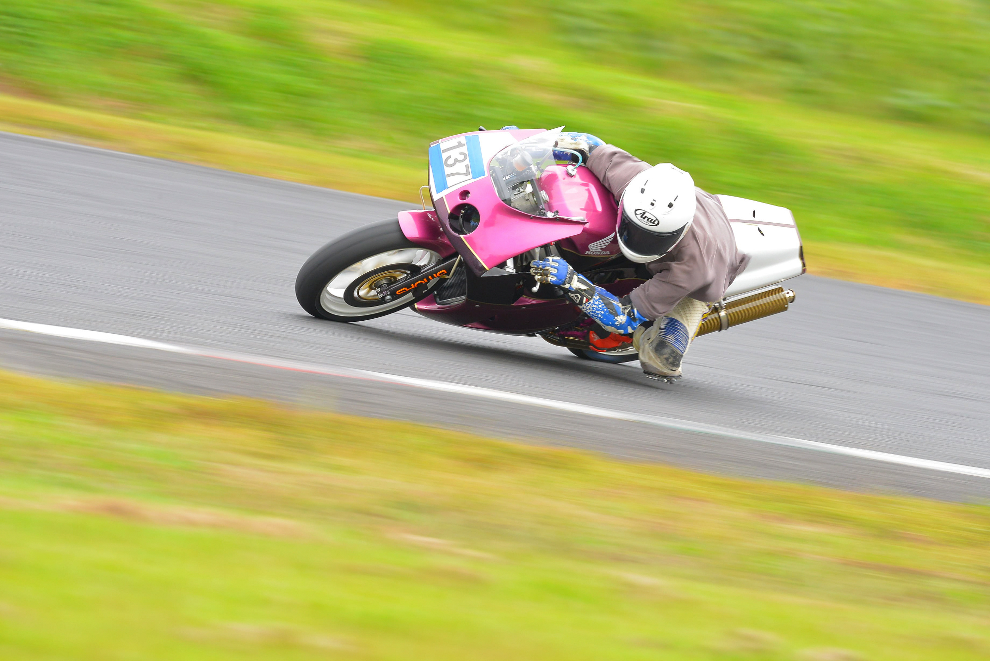 D8J_0101.JPG
